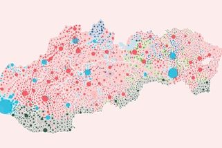 Volby na Slovensku: Romové volili OĽaNO, Maďaři Alianci - Seznam Zprávy